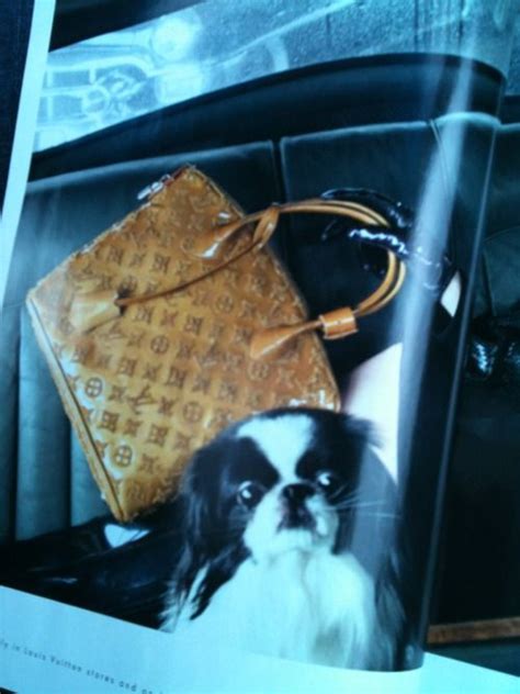 are louis vuitton bags cheaper in vegas